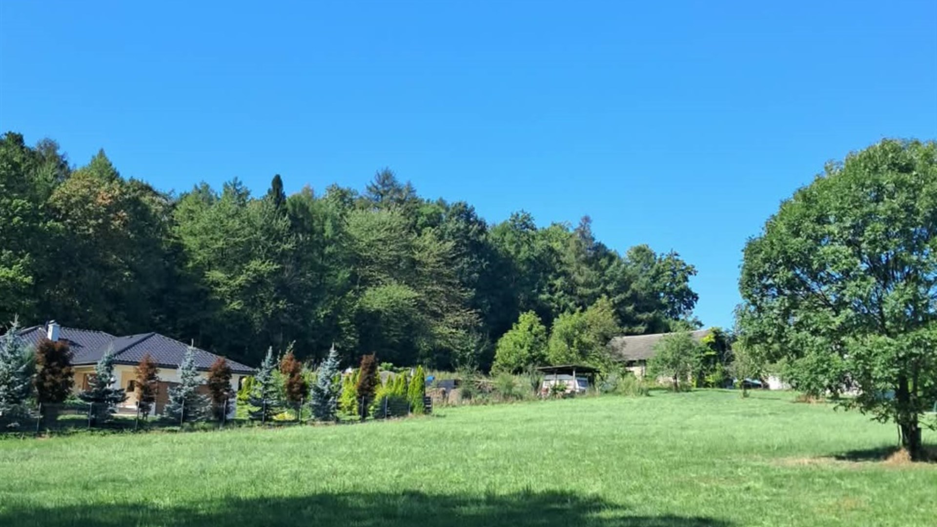 Działka na sprzedaż