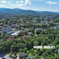Lokal na wynajem